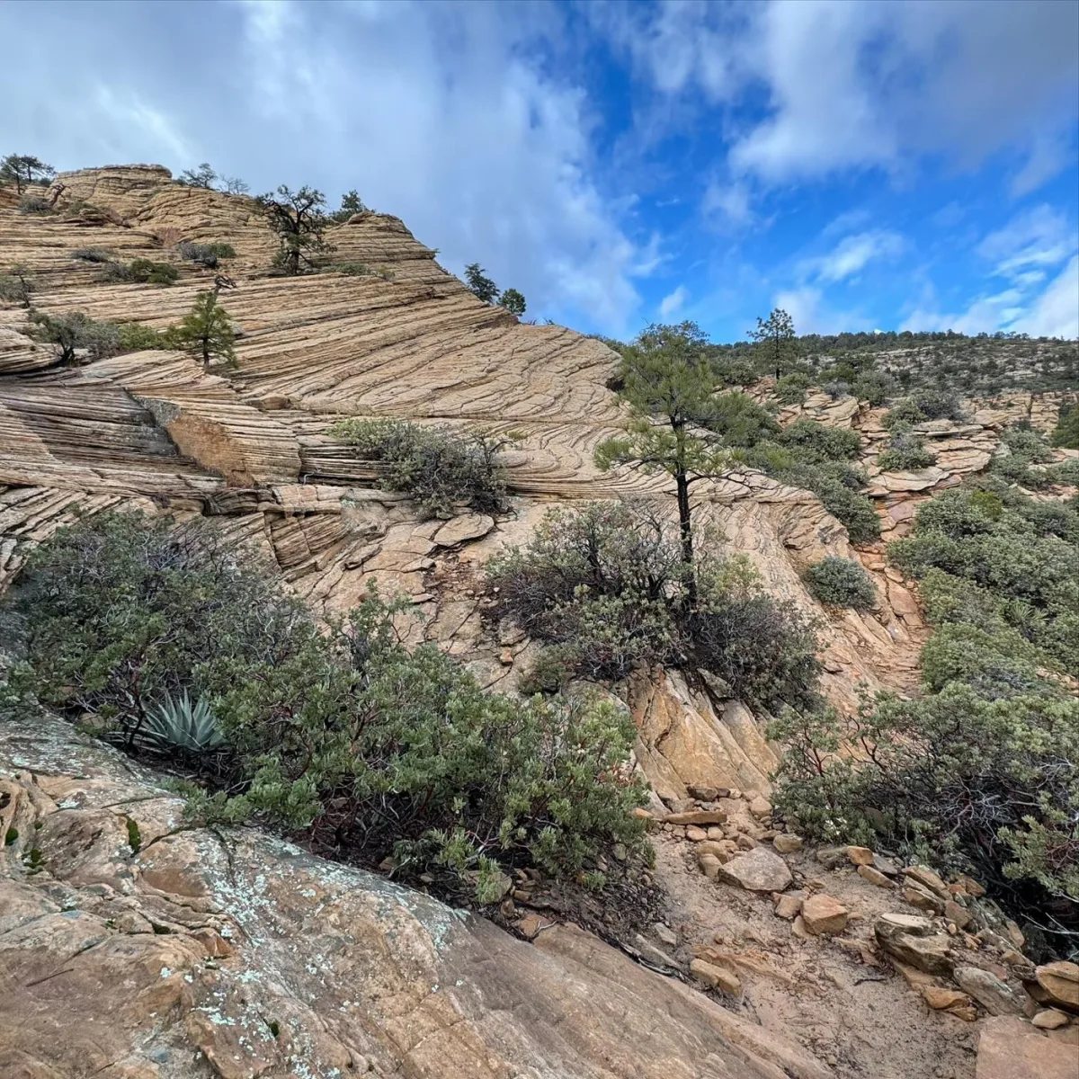 Red rock on the trail.