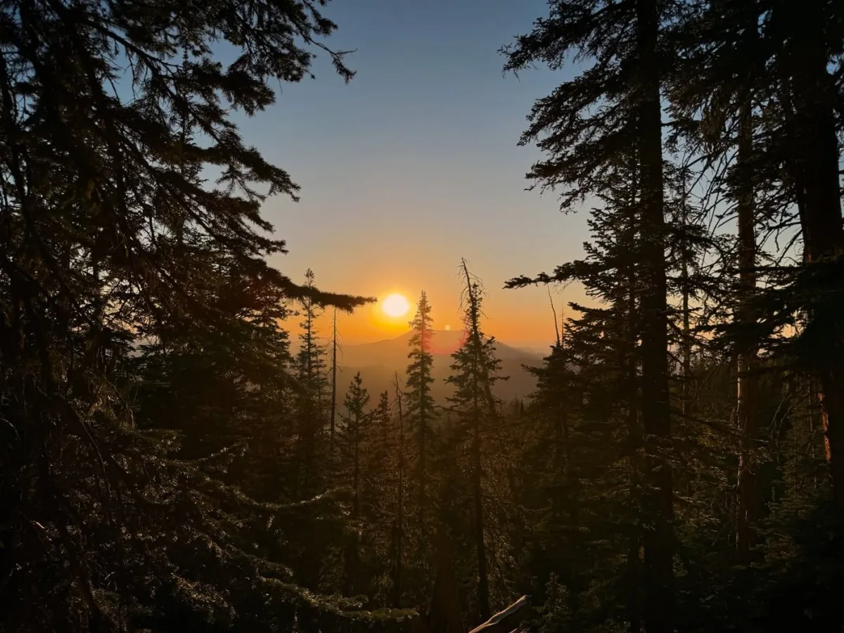 Sunset through the trees on the descent.