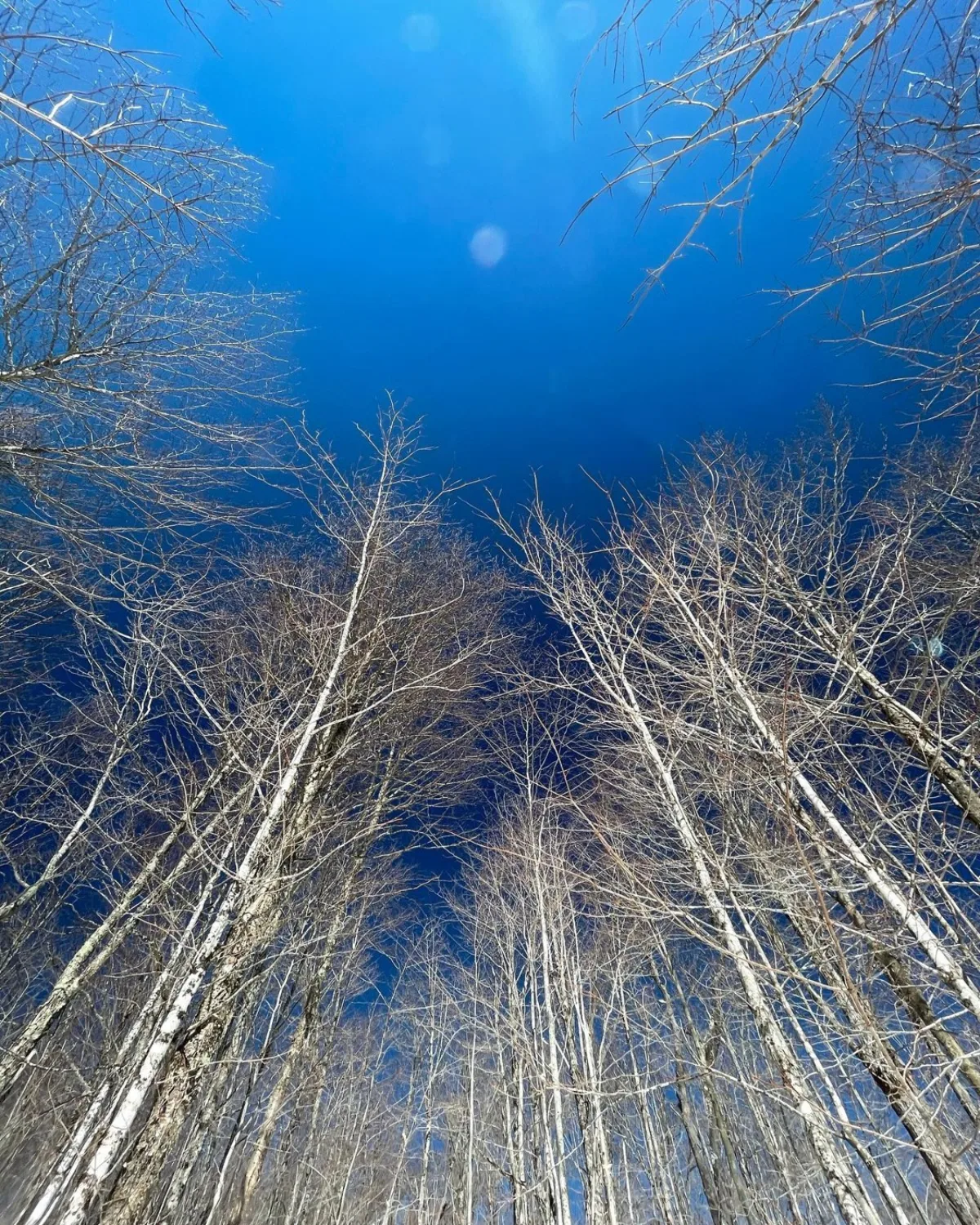 From the original Adirondacks guide post.